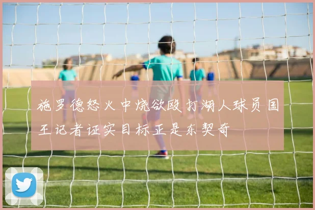 施罗德怒火中烧欲殴打湖人球员国王记者证实目标正是东契奇