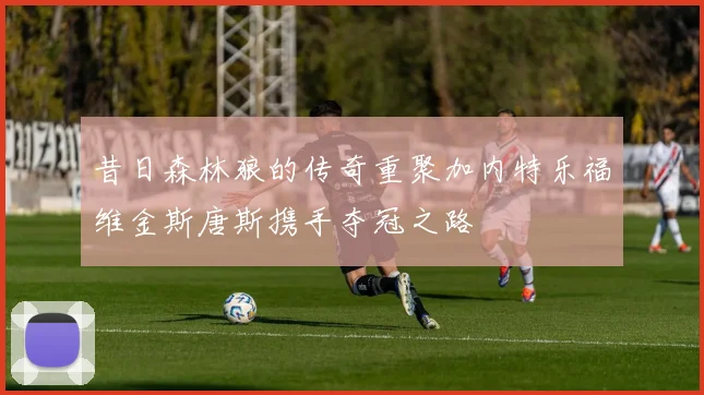 昔日森林狼的传奇重聚加内特乐福维金斯唐斯携手夺冠之路